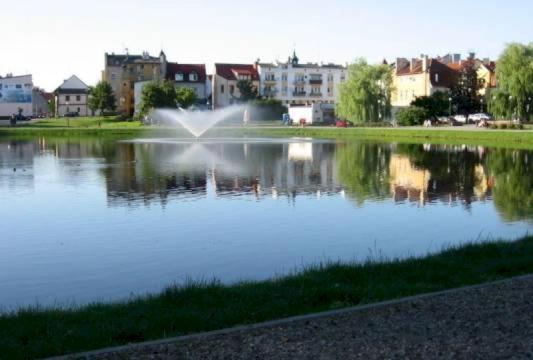 Apartament Green Mragowo-Mazury,Blisko Plaza, Centrum! Wi-Fi! Extérieur photo